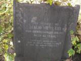 image of grave number 484283